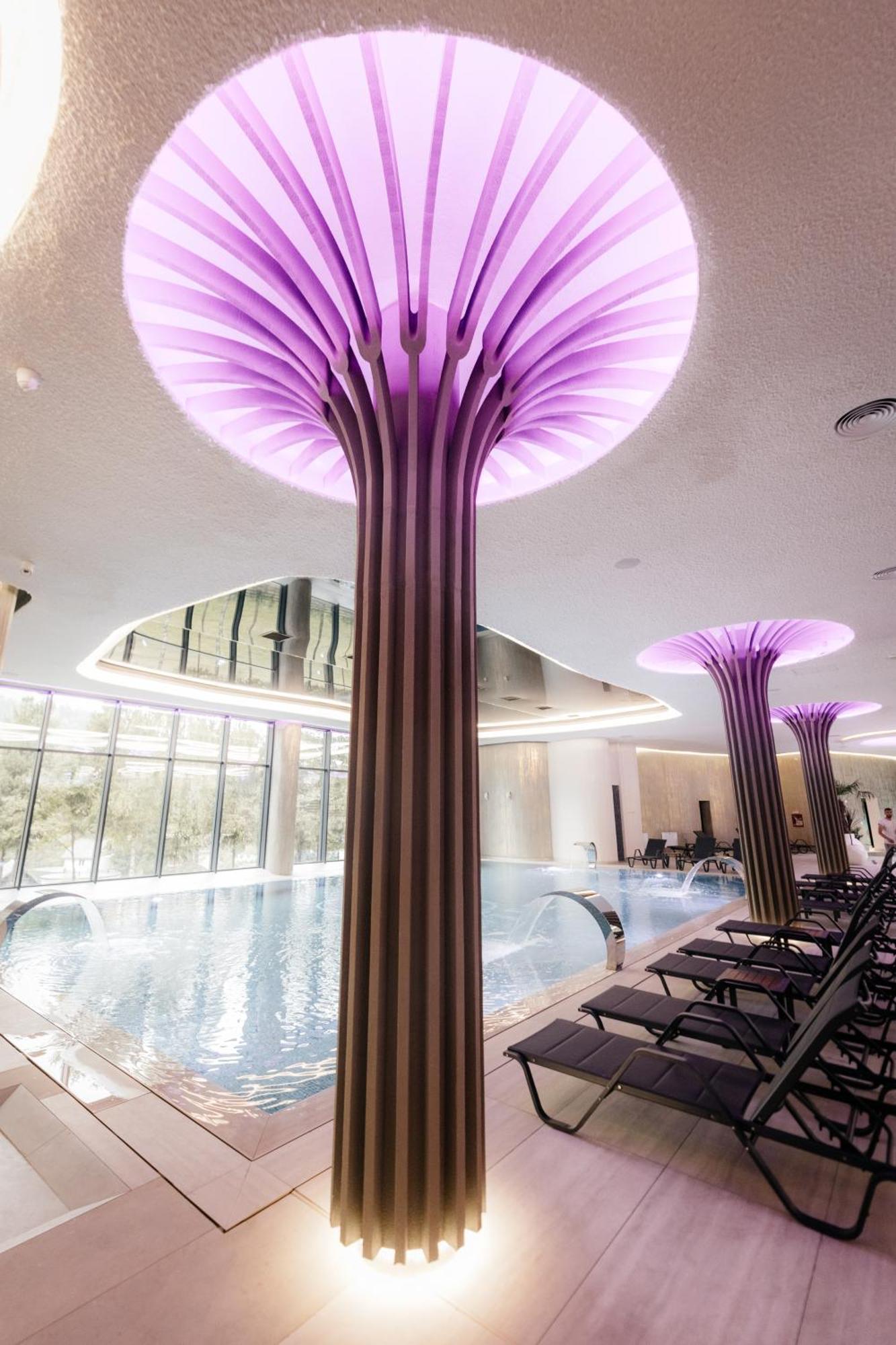Hotel Ivascu Moisei Eksteriør billede